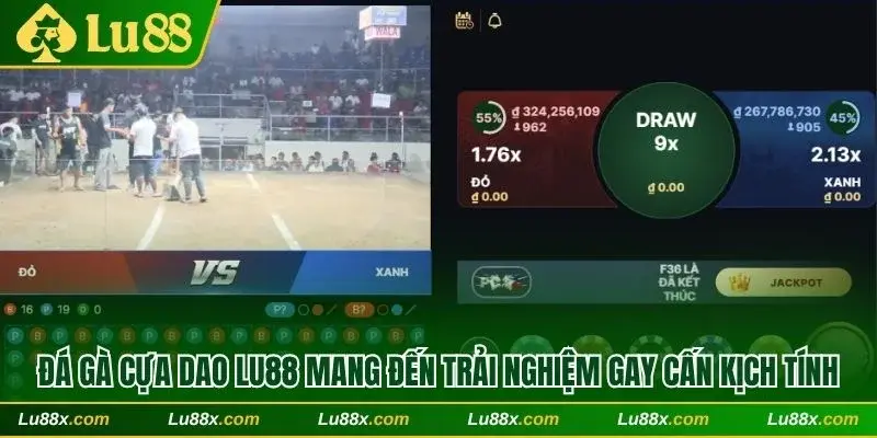 Đá gà cựa dao Lu88